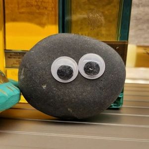 Meet your Posher, Fyn